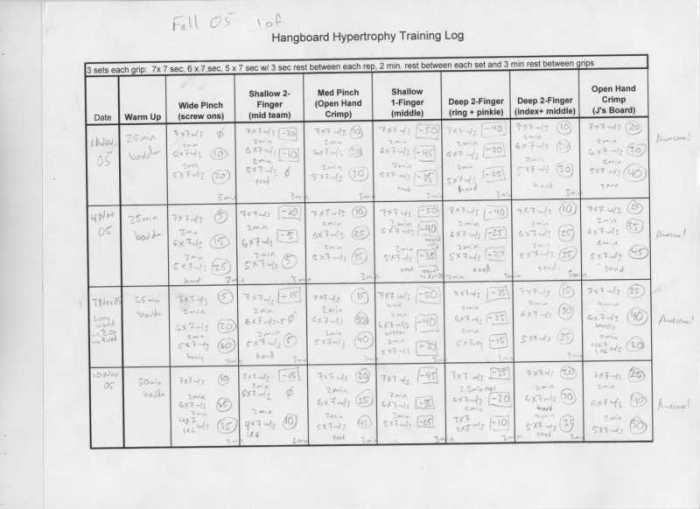 Training Log for the "Advanced" Hangboard Workout.